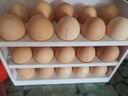 京鲜生 无抗保洁鲜鸡蛋30枚/盒 健康轻食 礼盒送礼 1.5kg/盒 源头直发 实拍图