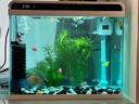 技研精工（JIYJNJINGGONG）鱼缸客厅小型家用带增氧桌面超白玻璃过滤免换水生态懒人鱼缸240 实拍图