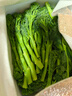 京鲜生云南新鲜西兰苔 长杆西兰苔 清甜脆嫩 加冰保鲜净重4.5斤源头直发 实拍图