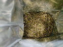 谢裕大绿茶黄山毛峰特级三等185g2025新茶雨前纸包装自饮口粮老茶客推荐 实拍图
