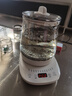 小熊（Bear）养生壶 煮茶壶 恒温水壶 保温烧水一体智能电热水壶花茶壶烧水壶 11档保温 1.5L大容量 YSH-J15Z7 实拍图