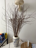 雪柳干枝水插花水培鲜花室内遇水开花客厅阳台观花绿植雪柳花鲜枝水养年宵花卉植物 雪柳10支80厘米高 不含瓶 实拍图