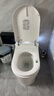 TOTOHEALTH系列智能马桶全自动感应清洗加热烘干一体带水箱即热式坐便器 HM19 顶配 全自动+内置泡泡盾 250mm 300\350\400坑距 下单备注 实拍图