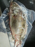 品鲜肴淡水鱼生态桂鱼鳜鱼鳌花鱼桂花季花鱼自然捕获鲜活现杀生鲜水产 净膛后400-450g/条【1斤活杀】 实拍图