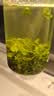 正东茗2026新茶 陕南绿茶陕青茶叶西乡炒青经典老味耐泡一级250克装春茶 实拍图