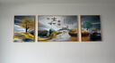 诗六艺家饰客厅装饰画北欧现代简约沙发背景墙挂画三联画大气轻奢壁画晶瓷画 家和富贵A（铝合金外框） 镶钻画左右60*80+中间120*80亮面 实拍图