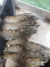 果勋鲜活速冻黑虎虾净重1.4斤30-40只/盒海鲜大虾类高虾青素海鲜水产 实拍图