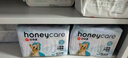 HONEYCARE好命家 狗狗纸尿裤公狗尿不湿安全裤M适用体重16-33kg/12片3包装  实拍图