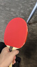 蝴蝶(Butterfly)波尔明星礼盒礼品拍横拍升级款高弹碳素纤维乒乓球拍 实拍图