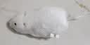 猫咪玩具电动小老鼠自嗨解闷斗逗猫棒仿真猫用品大全消耗体力好物 宠物玩具【发条小鼠】-白色 无规格 实拍图