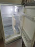 上菱183升双开门冰箱小型出租房2-3人用 出租屋家用两门二门小户型双门电冰箱以旧换新BCD-183D 实拍图