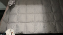 罗莱家纺 羽绒被 A类95%水洗鹅绒被子保暖冬被芯 约5.2斤粉 实拍图