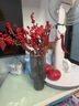 中梦北美冬青红果水培鲜花新年盆栽室内鲜切银柳真花鲜枝年宵花卉水养 A级北美冬青40厘米左右3枝（不含瓶） 晒单实拍图