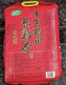 十月稻田 2025年新米 长粒香大米 10斤（东北大米 香米 5公斤/十斤） 实拍图