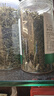 修年堂 鱼腥草250g（5g*50包） 折耳根可泡茶 鱼腥草干凉茶 养生茶  实拍图