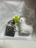 清凉冰透感苹果植绒小狗小猫手机链夏季多巴胺手机包包挂件 【青苹果小狗】门扣款 实拍图