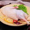 正大食品（CP）樱桃谷鸭半片鸭1.4斤 生鲜冷冻 鸭肉鸭腿鸭锁骨 麻辣鸭货 实拍图