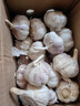 京鲜生河南杞县大蒜带皮新鲜干蒜净重3斤单果5.5-6cm 源头直发包邮 实拍图