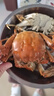 【活蟹】乾澄大闸蟹现货 公蟹3.6两母蟹2.6两8只4对 鲜活螃蟹河蟹年货海鲜礼盒源头直发 实拍图