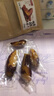 牧果人红瑶烤蜜薯干180g 无添加地瓜干红薯干不加糖带皮休闲蜜饯零食 实拍图