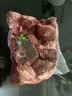 伊赛一品丸家撒尿牛肉丸组合960g清真火锅丸子关东煮麻辣烫源头直发 实拍图