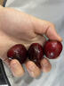 三萌果蔬 智利车厘子【JD顺丰-多地次日达】大樱桃进口水果礼盒年货送礼 3斤(净重) 【超划算-80%人选】爽吃礼盒 【黑钻级丨独享爽吃】 3J 巨无霸 30-32mm 实拍图