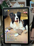 Apple/苹果 iPad11英寸 A16芯片2025年款 平板电脑 (128GB WLAN版/学习办公娱乐)银色 实拍图
