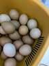 食特吉七彩山鸡蛋30枚 散养土鸡蛋  杂粮蛋礼盒 净含量1.68斤 源头直发 实拍图