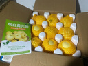 甜醉了 烟台苹果黄元帅粉面苹果黄金帅黄香蕉山东新鲜水果当季整箱鲜果 净重8.5斤85-90mm 实拍图