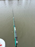 小早川日本GOLDSPINK品牌钓鱼竿纯进口碳素超轻超硬台钓竿鱼竿手杆十大 6.3m 轻量28调+原装竿稍 实拍图