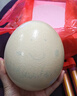 京觅山东新鲜鸵鸟蛋净重2.5斤/枚彩箱装巨无霸特大禽蛋源头直发包邮 实拍图