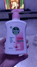 滴露（Dettol）洗手液滋润250g 儿童洗手液抑菌消毒宝宝 水润补充装尝鲜 实拍图