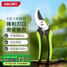 得力（deli）园艺剪刀果枝剪园林剪树枝钳家用修枝剪刀神器果枝剪刀锁扣设计 实拍图