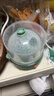 九阳（Joyoung）煮蛋器多功能智能蒸蛋器 14个蛋量 ZD14-GE140（飞泉绿） 实拍图