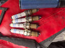 博世双铂金大众斯柯达火花塞【四支装】 15至24款新速腾 1.6L 1.2T 1.4T 实拍图