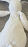 澳贝（auby）婴幼儿玩具小兔安抚巾宝宝哄睡神器阿贝贝新生儿毛绒手偶满月礼物 实拍图