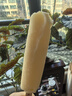 光明牌 大白兔雪糕65g*5支 冰淇淋棒冰 家庭装冰激凌 奶香浓郁 冷饮 实拍图