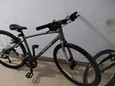 喜德盛（xds）公路车极速380油碟18速平把铝架2025款运动休闲车 25款-深灰/银450 实拍图