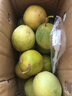 鲜青录广西黄金百香果钦蜜9号新鲜水果黄色白香果西番莲鸡蛋果 尝鲜净重1斤（单果40-60g） 实拍图
