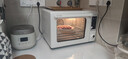 长帝（changdi）新款电烤箱猫小易Max大容量风炉专业烘焙烤箱烘焙/烧烤猫小易pro升级款空气炸烤 实拍图