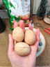 享食兔核桃新疆薄皮新鲜原味无添加阿克苏2025年新货无漂白带夹子生500g 实拍图