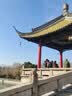 美尼乐实木餐桌椅靠背复古法式餐椅中古休闲家用椅子感侘寂风钥匙椅 杨梅枝【印花绒布】黑色架 实拍图