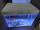 森森（SUNSUN）超白鱼缸一体缸自循环客厅桌面小型家用水族箱HEJ-380 实拍图