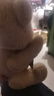 莉娜熊（TeddyTales）小熊玩偶毛绒玩具熊泰迪手作熊安抚娃娃送礼送人新年礼物女生 奶茶色（经典款） 中号站姿约30cm 实拍图