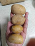 京喜加新鲜黄心土豆农家自种黄皮马铃薯黄心洋芋新鲜蔬菜 2斤 实拍图