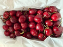 觅鲜探长智利进口车厘子大樱桃【多地次日达】新鲜水果可选礼盒装 1250g(净重) 精挑手选果 J 26-28mm带箱3斤 礼盒装 实拍图