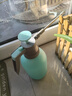 得力（deli）喷壶消毒浇花家用气压式压力喷雾器防疫酒精园艺神器喷水壶杀菌 实拍图