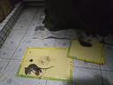 达豪粘鼠板一超强力老鼠贴窝家用捕鼠神器端加大加厚鼠板5张 实拍图