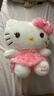 名创优品（MINISO）三丽鸥Hello Kitty凯蒂猫玫瑰之约毛绒公仔玩具玩偶抱枕生日礼物 实拍图