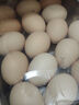 1号会员店富硒鲜鸡蛋30枚 源头直发 净重3斤 实拍图